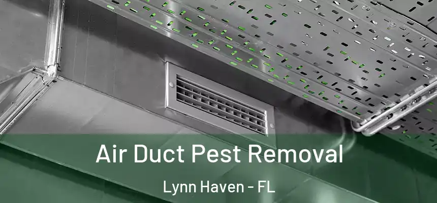 Air Duct Pest Removal Lynn Haven - FL
