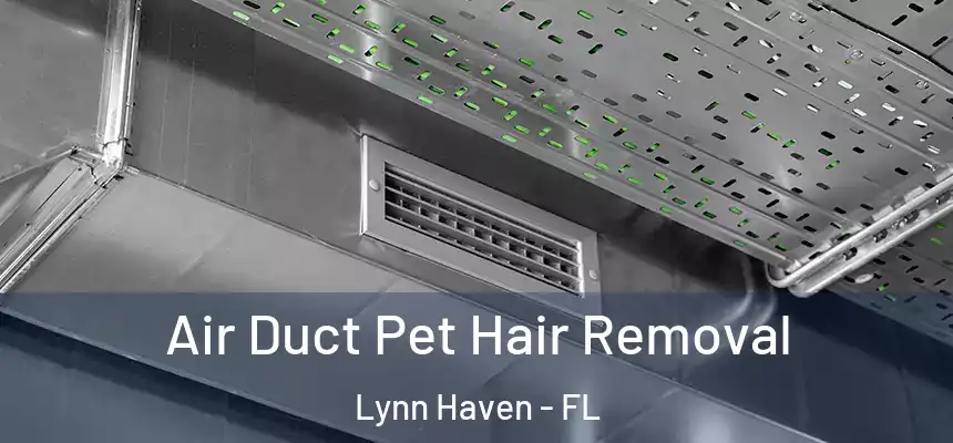 Air Duct Pet Hair Removal Lynn Haven - FL