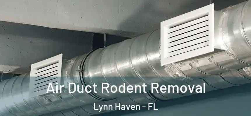 Air Duct Rodent Removal Lynn Haven - FL