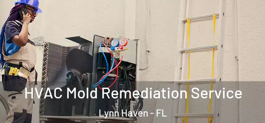 HVAC Mold Remediation Service Lynn Haven - FL