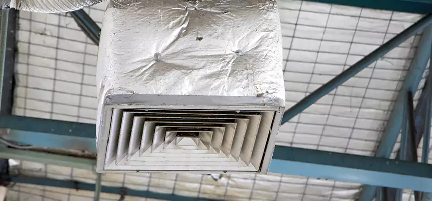 Our HVAC Mold Remediation Service Services in Lynn Haven, FL
