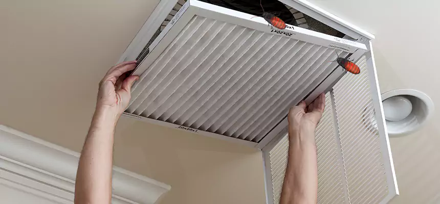 Our Insect Removal from Air Ducts Services in Lynn Haven, FL