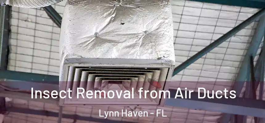 Insect Removal from Air Ducts Lynn Haven - FL