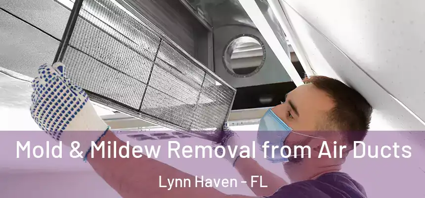Mold & Mildew Removal from Air Ducts Lynn Haven - FL