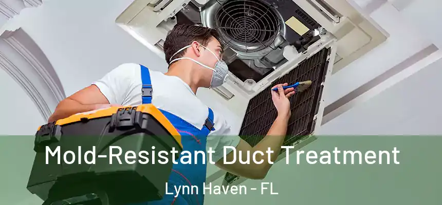 Mold-Resistant Duct Treatment Lynn Haven - FL
