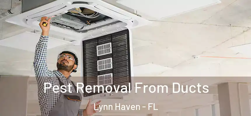 Pest Removal From Ducts Lynn Haven - FL
