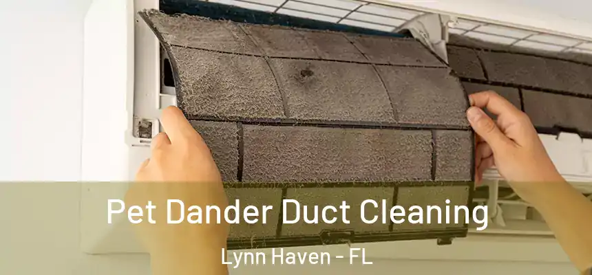 Pet Dander Duct Cleaning Lynn Haven - FL