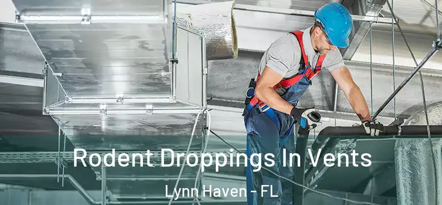 Rodent Droppings In Vents Lynn Haven - FL