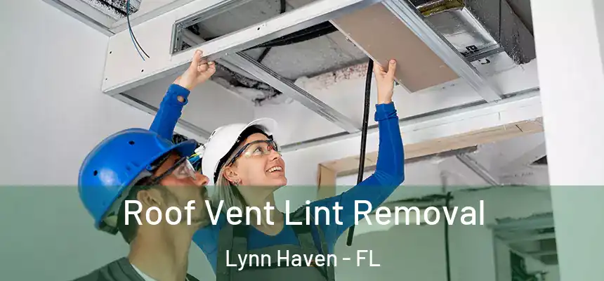 Roof Vent Lint Removal Lynn Haven - FL
