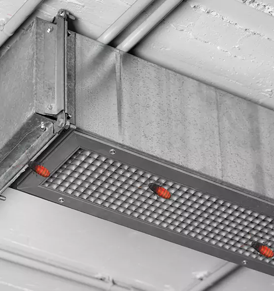 Affordable Insect Removal from Air Ducts in Lynn Haven, FL