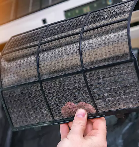 About Pet Dander Duct Cleaning in Lynn Haven, FL